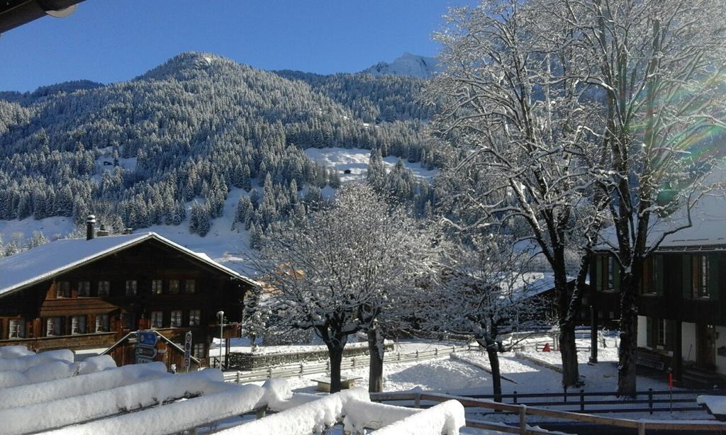 Hotel Restaurant Baren Gsteig Exterior photo